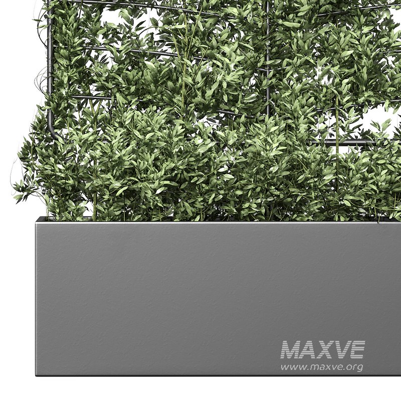 Botanical Planter 4 - Image 14