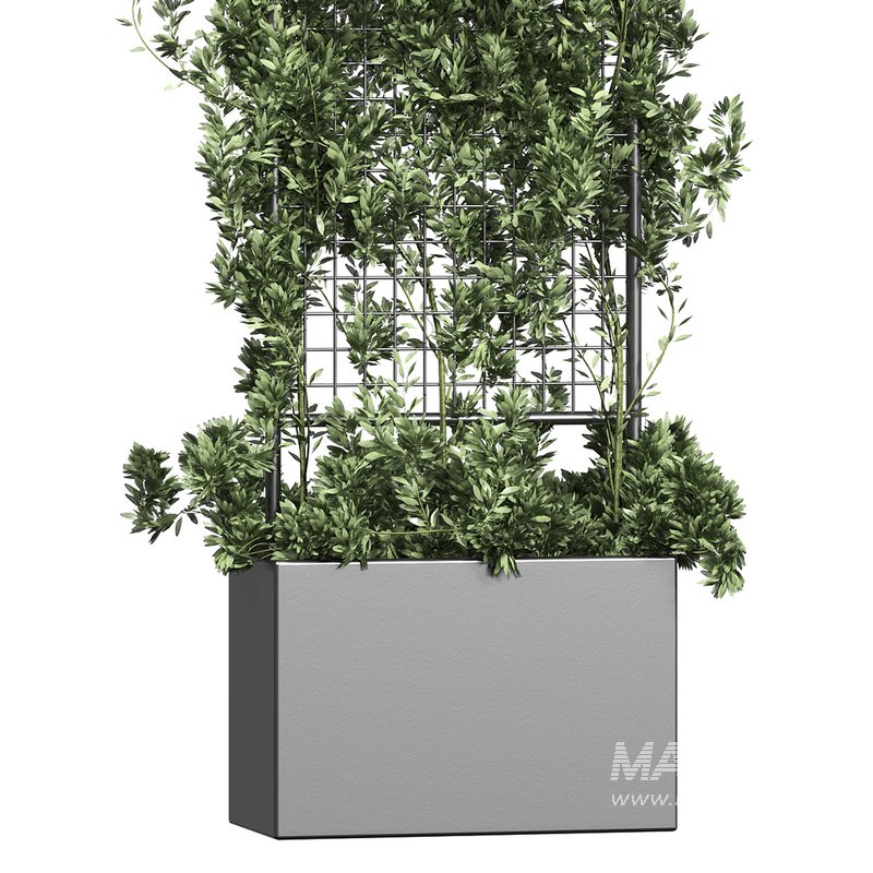 Botanical Planter 2 - Image 7