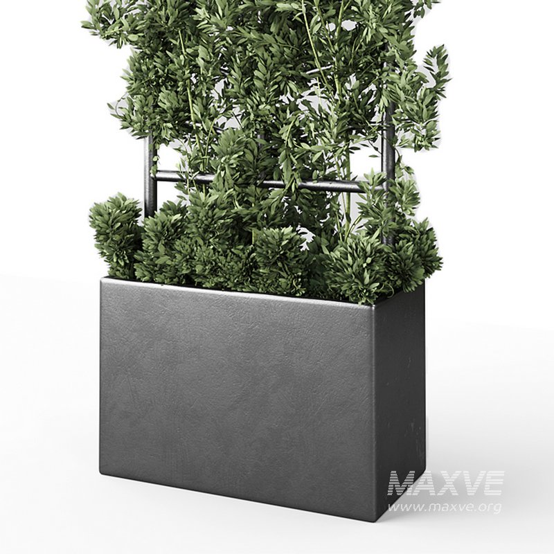 Botanical Planter - Image 7
