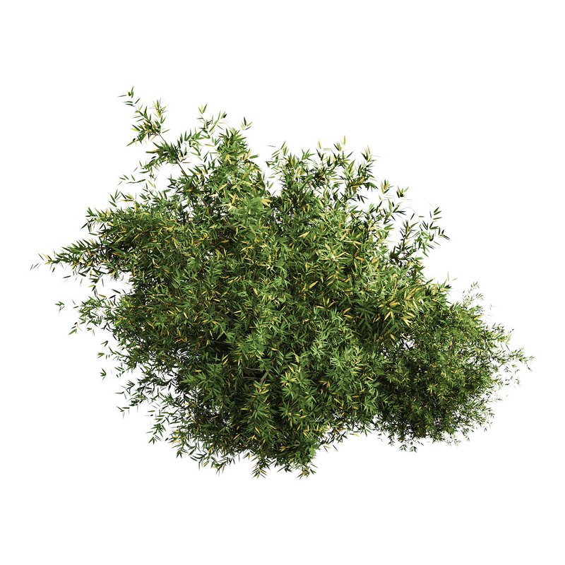 Natural Topiary Bush - Image 7