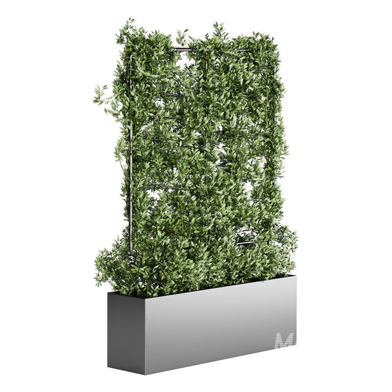 Botanical Planter 4 - Image 15