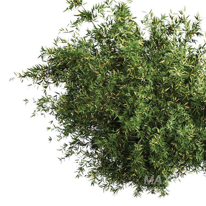 Natural Topiary Bush - Image 9
