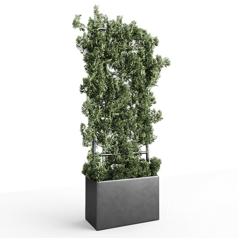 Botanical Planter - Image 8