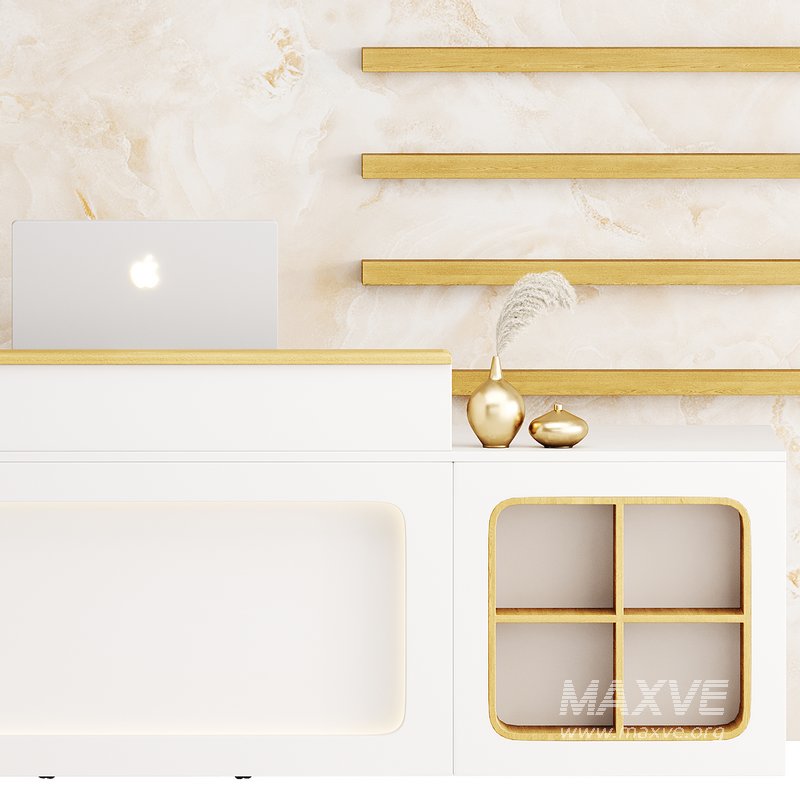 Contemporary Reception 11 - Image 9