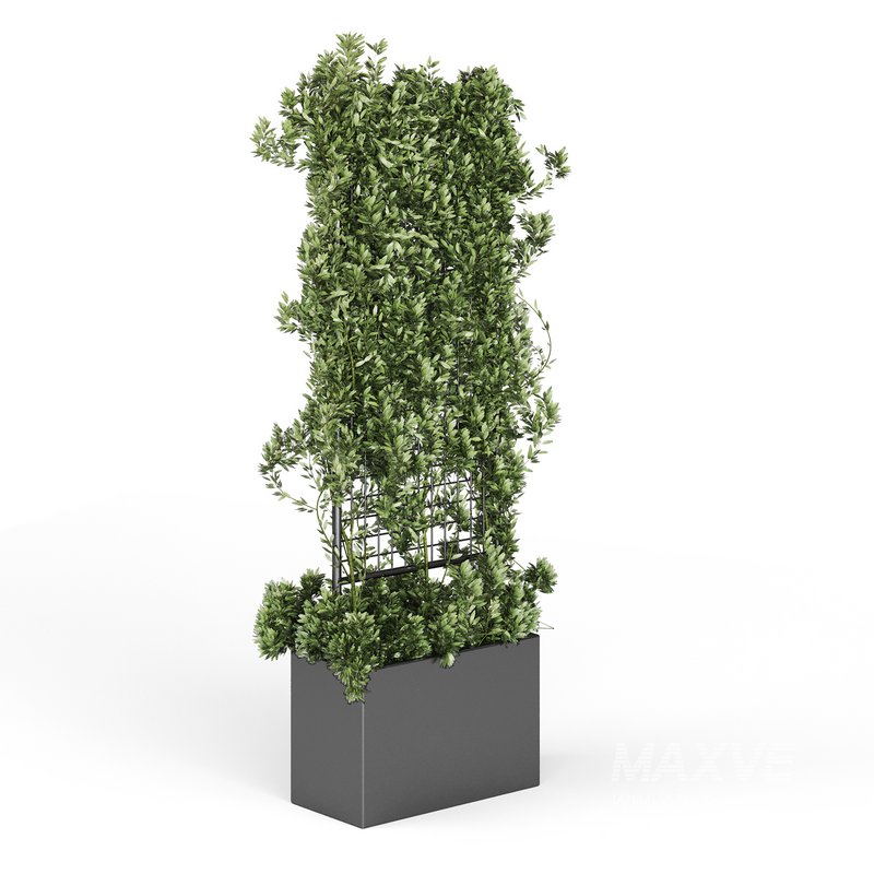 Botanical Planter 2 - Image 9