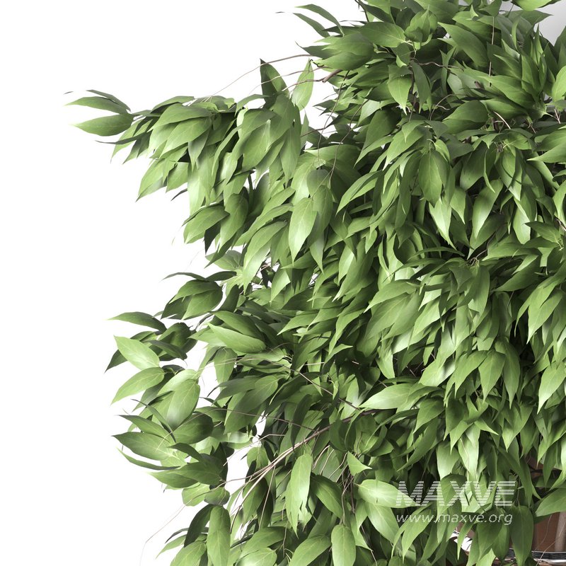 Isla Wall Mounted Lamp & Glass Vase - Image 10