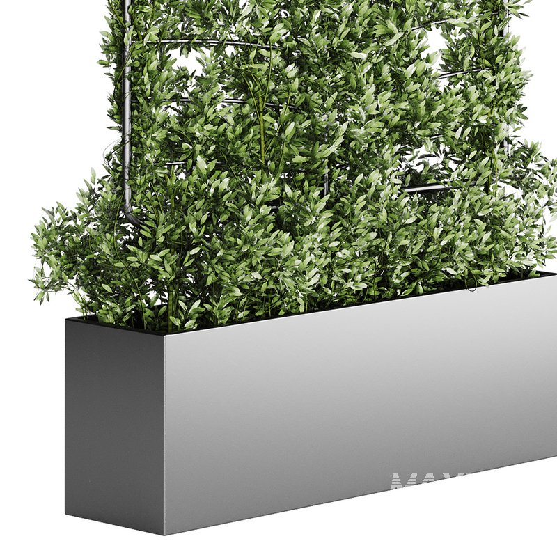 Botanical Planter 4 - Image 4