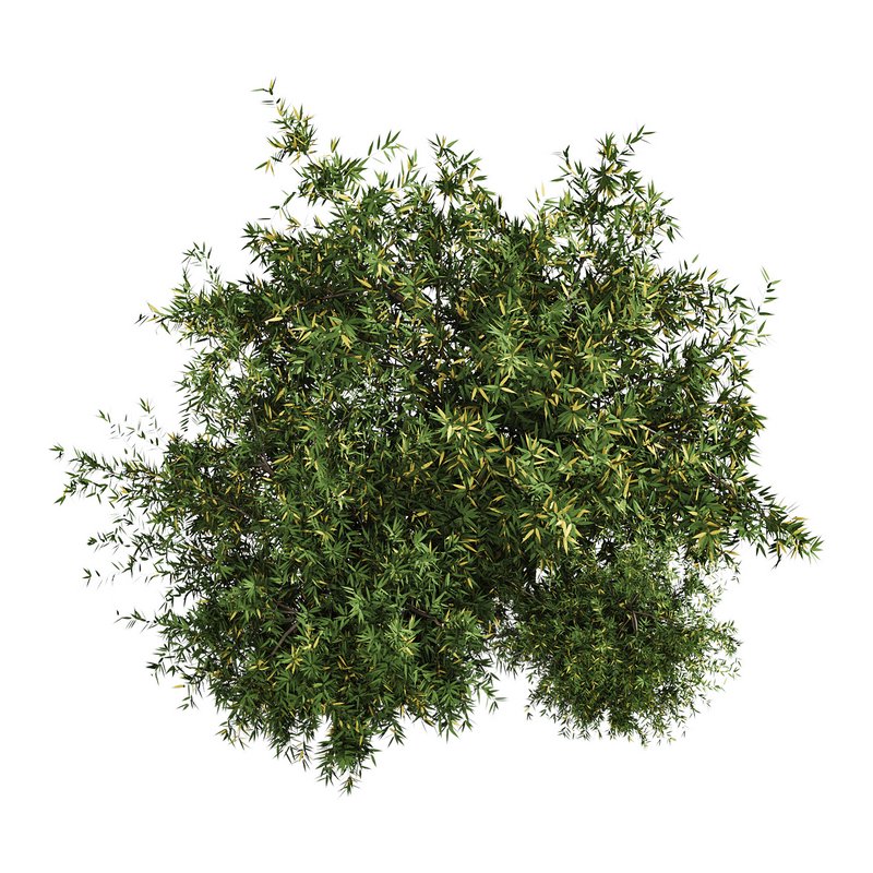 Natural Topiary Bush - Image 8