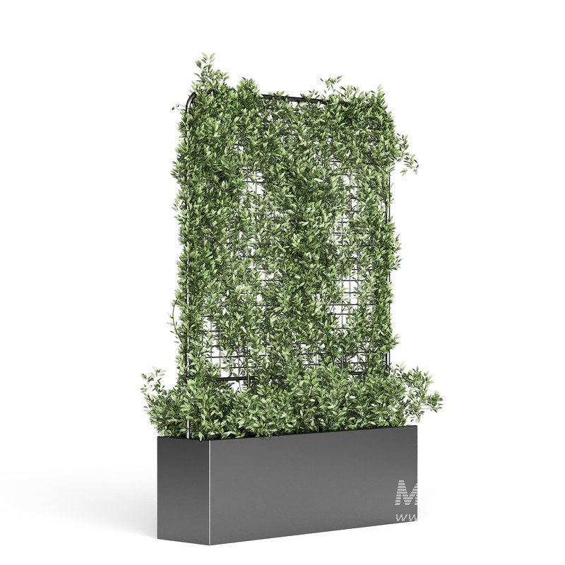 Botanical Planter 3 - Image 9