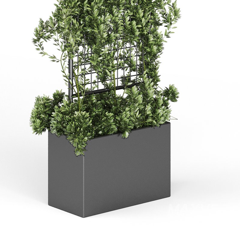 Botanical Planter 2 - Image 8