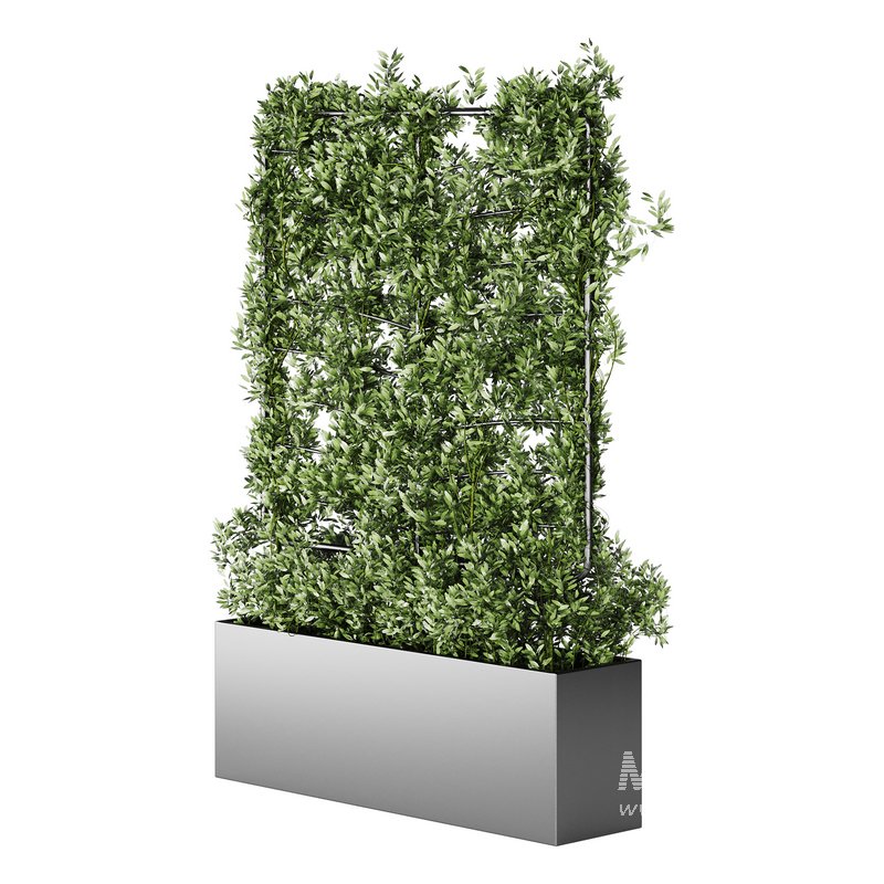 Botanical Planter 4 - Image 5