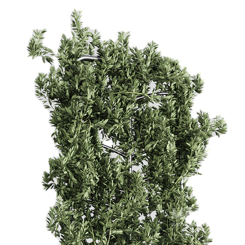 Botanical Planter - Image 9