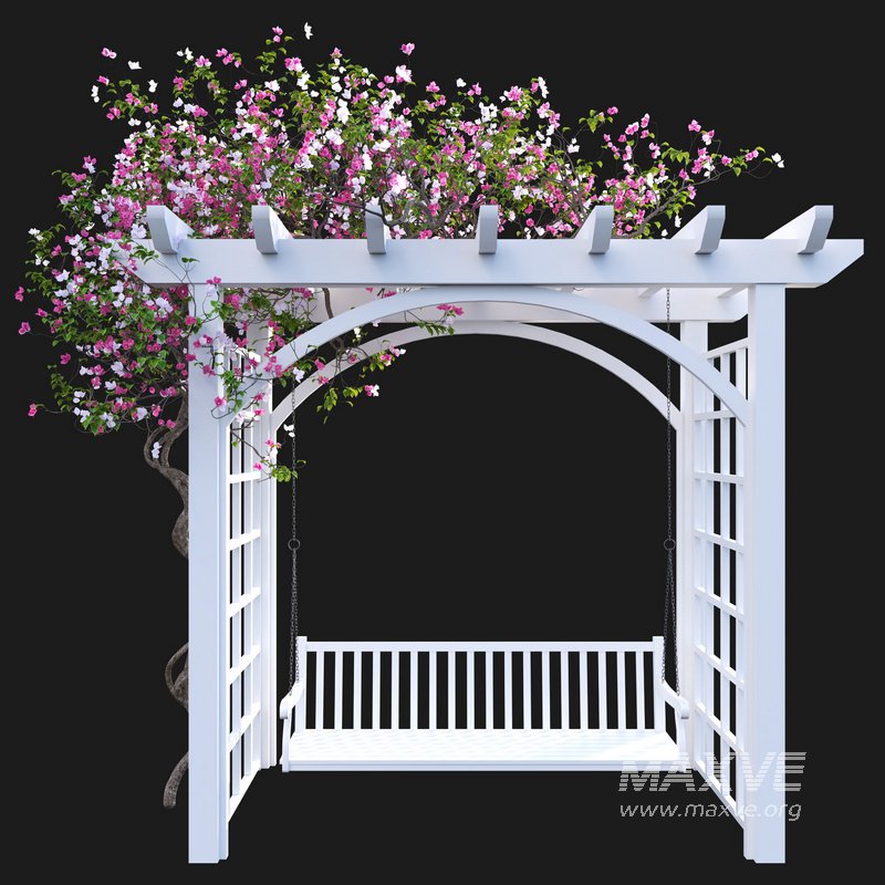 Bougainvillea 16 - Image 2