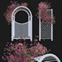 Bougainvillea 16 - Thumbnail 1