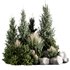Bush set01 - Thumbnail 3