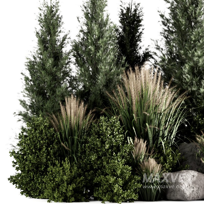 Bush set01 - Image 2