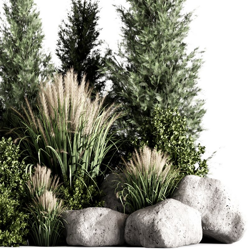 Bush set01 - Image 4