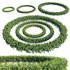 Buxus Sempervirens – Boxwood 02 - Thumbnail 1
