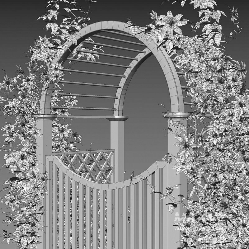 Clematis Aotearoa – Creeper Gate - Image 6