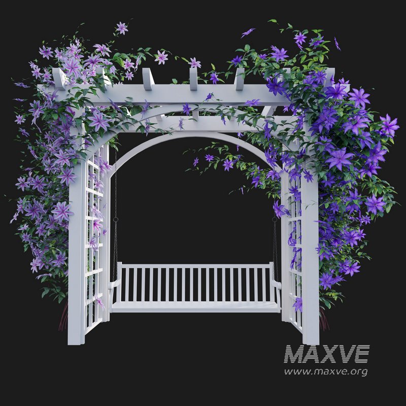 Clematis Aotearoa – Creeper Swing - Image 3