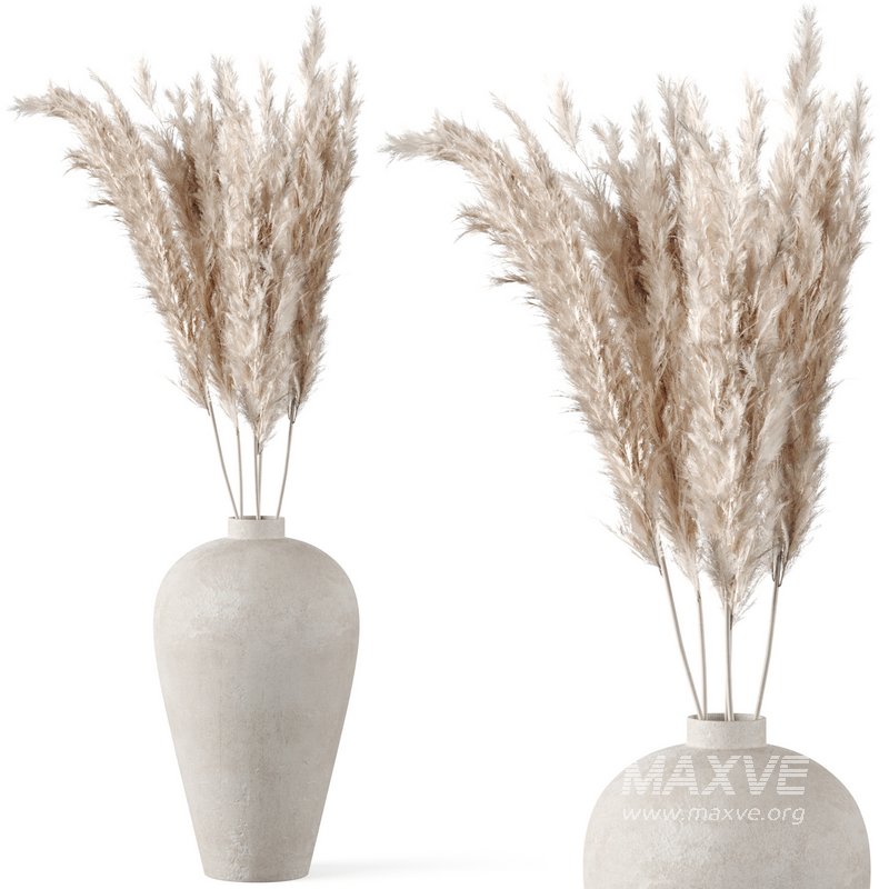 Pampas Decoration with terracotta vase - Image 1