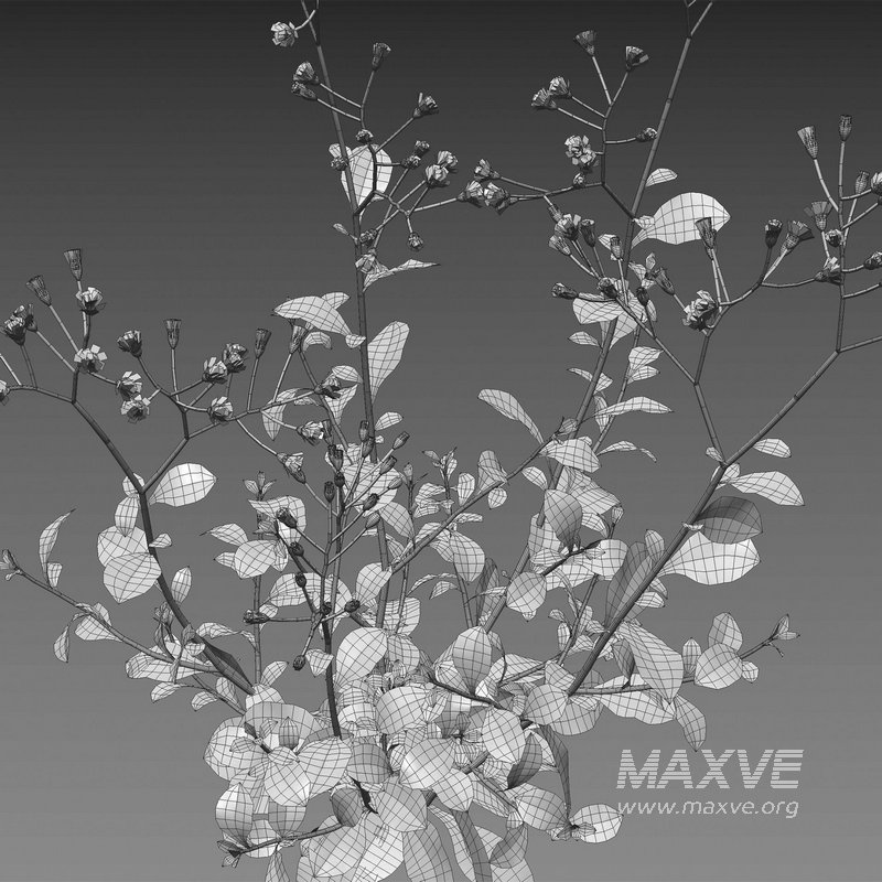 Cyanthillium cinereum – Little ironweed - Image 5