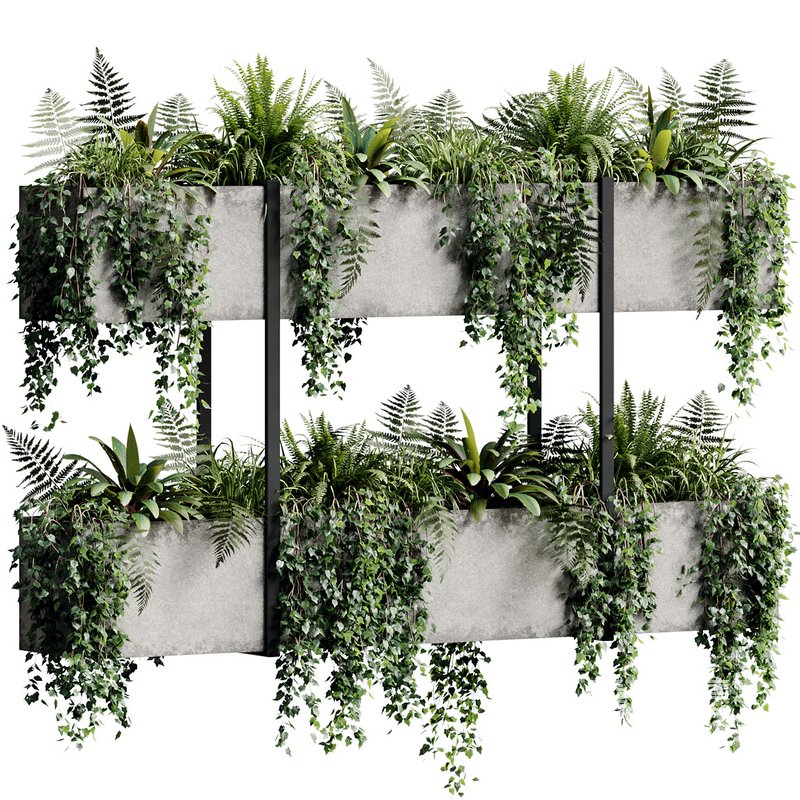 Indoor Plant 22 - Image 2