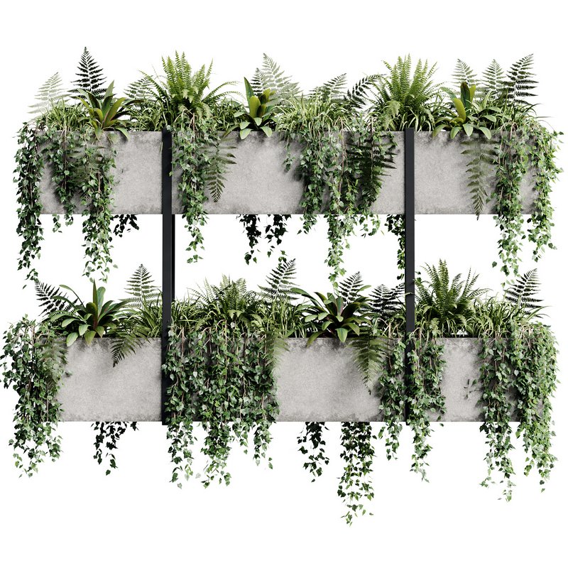 Indoor Plant 22 - Image 1