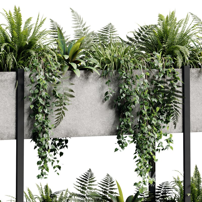 Indoor Plant 22 - Image 3