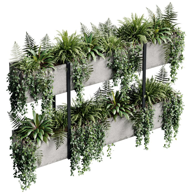 Indoor Plant 22 - Image 4