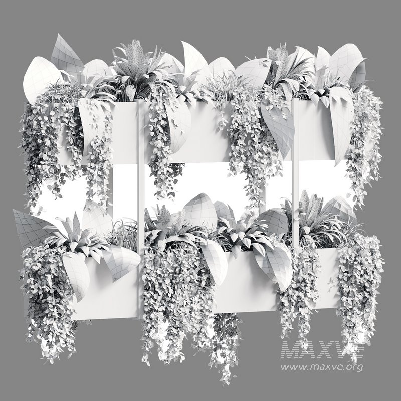 Indoor Plant 22 - Image 5