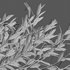 Eremophila Glabra Kalbarri Carpet – Tar Bush 02 - Thumbnail 3