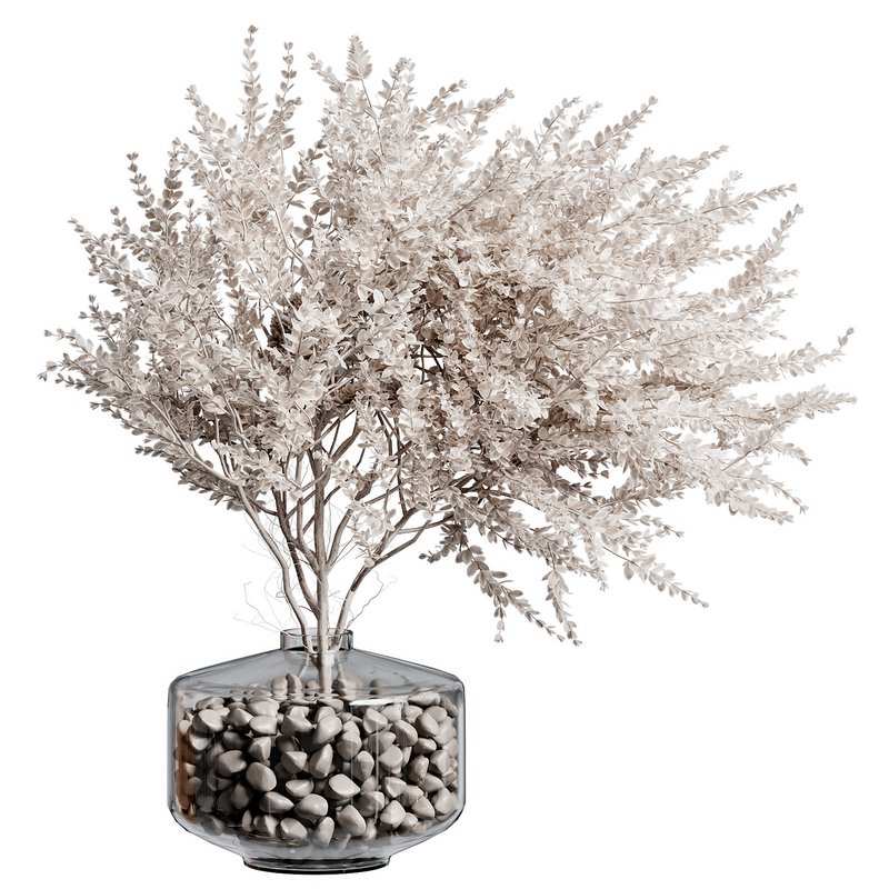 Indoor Plant 26 - Image 1