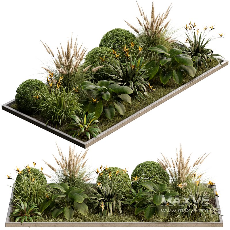 Outdoor Plant 30 - Image 5