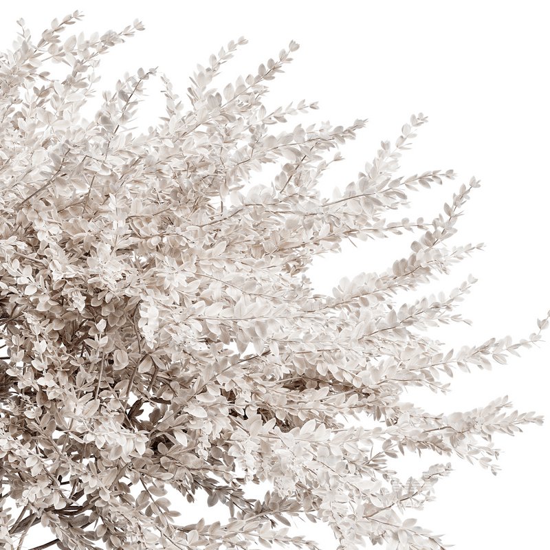 Indoor Plant 26 - Image 3