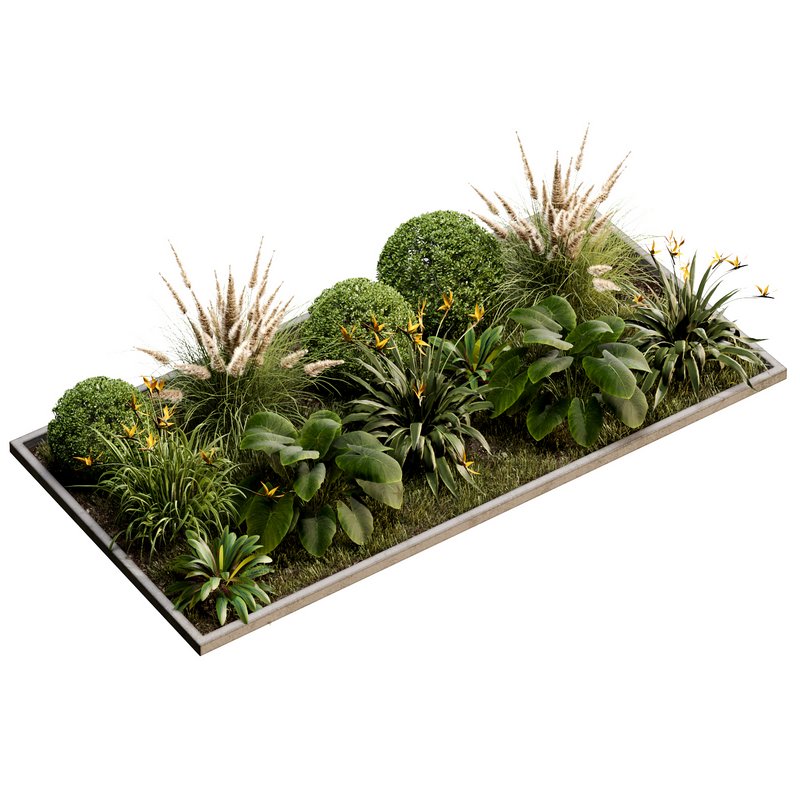 Outdoor Plant 30 - Image 1