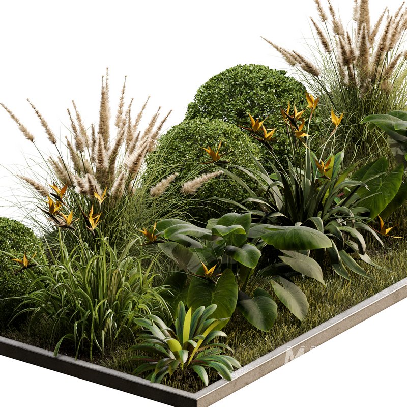 Outdoor Plant 30 - Image 2