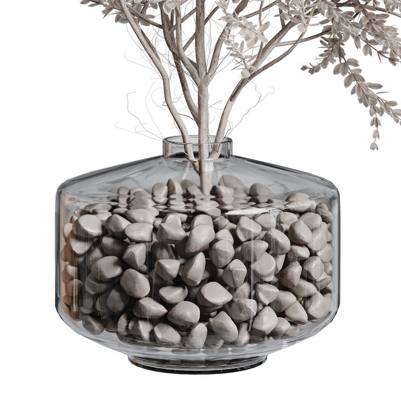 Indoor Plant 26 - Image 2