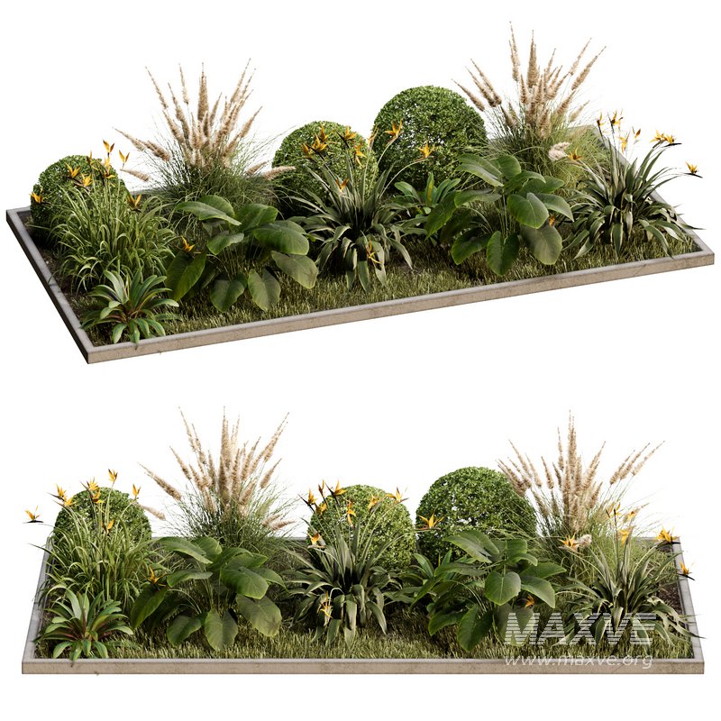 Outdoor Plant 30 - Image 3