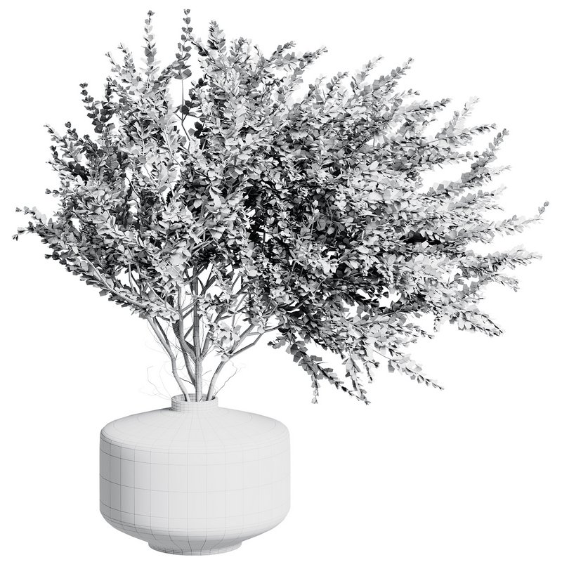 Indoor Plant 26 - Image 4