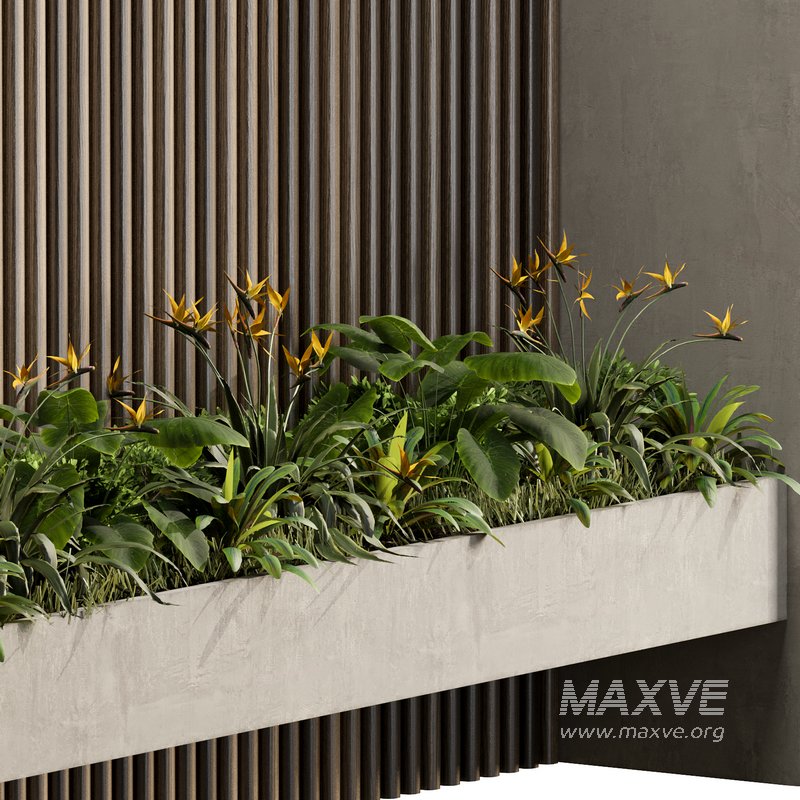 Wall with plant 06 - Image 4