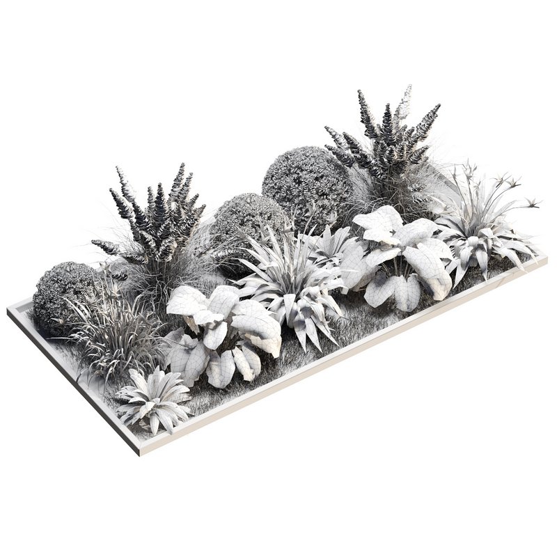 Outdoor Plant 30 - Image 4