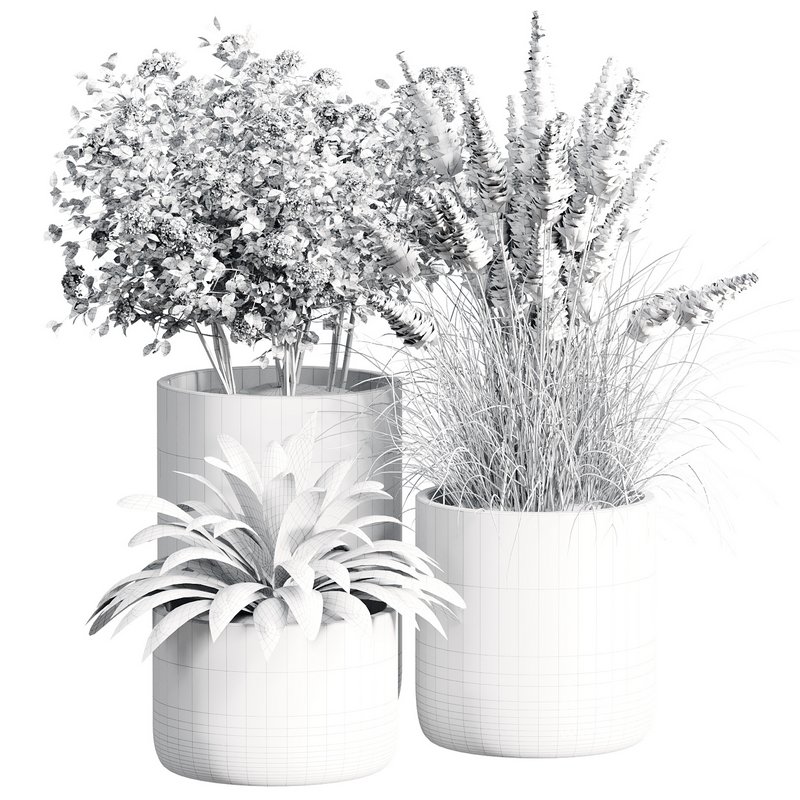 Outdoor Plant 28 - Image 5