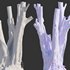 Ficus Tree Trunk 07 - Thumbnail 4