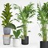indoor plant set001 - Thumbnail 1