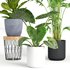 indoor plant set001 - Thumbnail 4