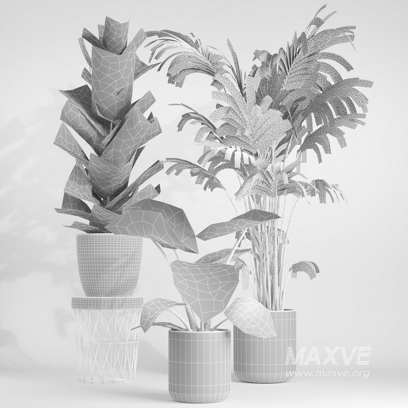 indoor plant set001 - Image 5