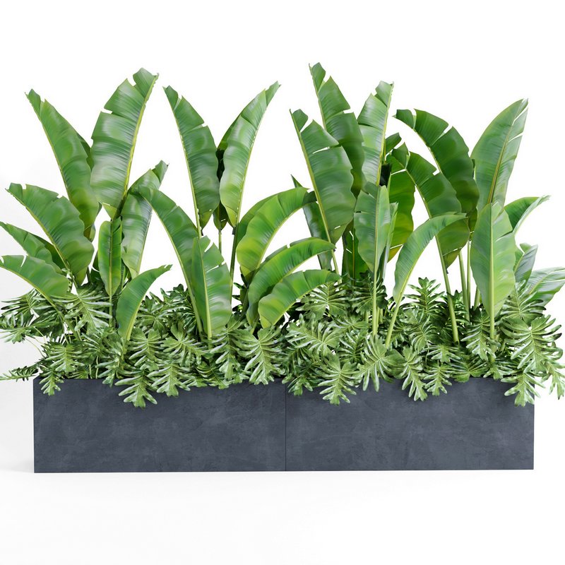 indoor plant set003 - Image 2