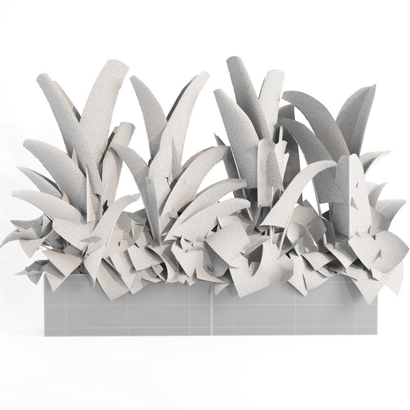 indoor plant set003 - Image 4