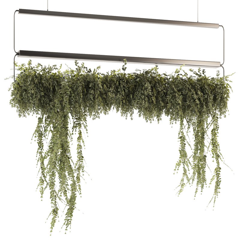 Indoor Plants-Ivy Plant-set-52 - Image 1